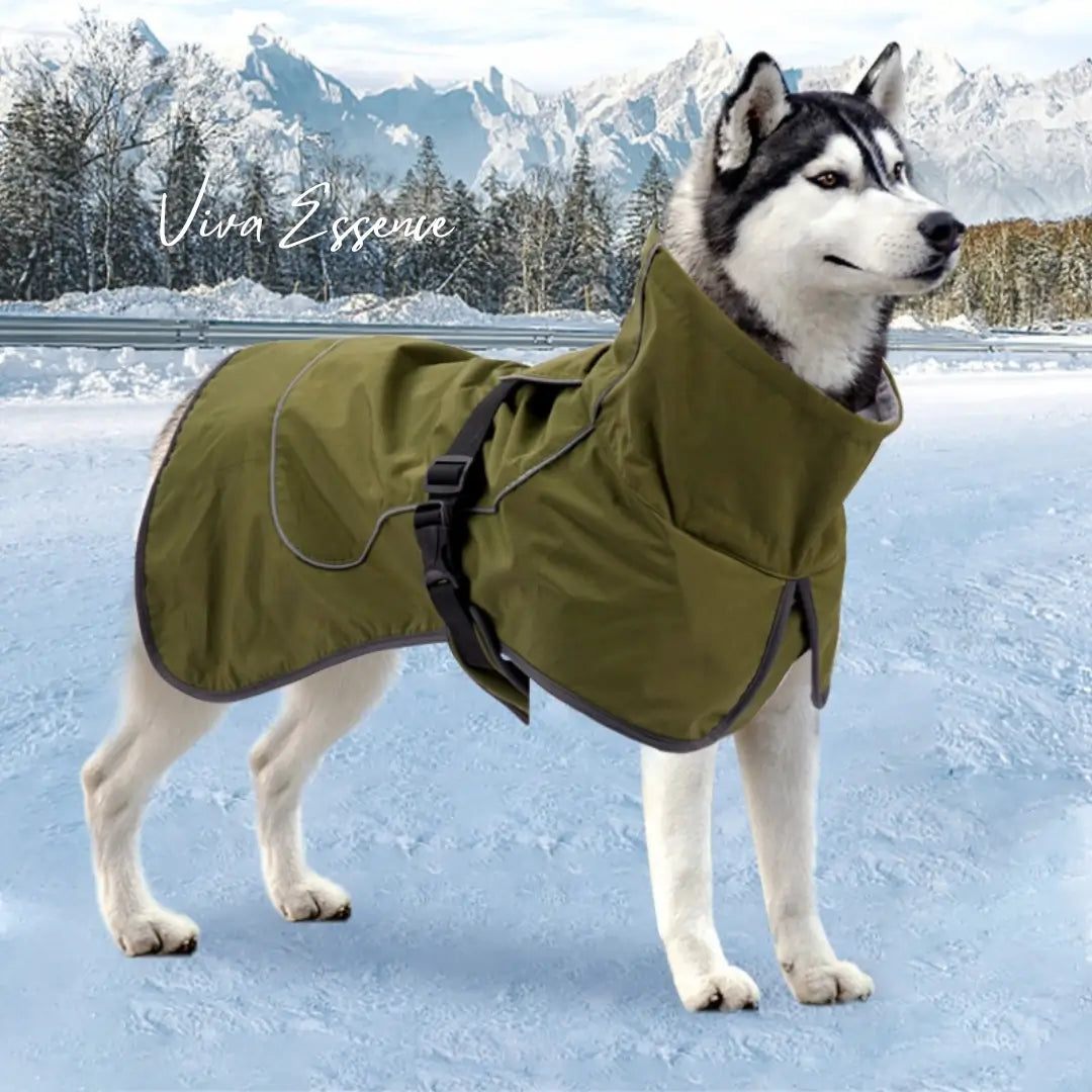 All-Weather Reflective Dog Coat