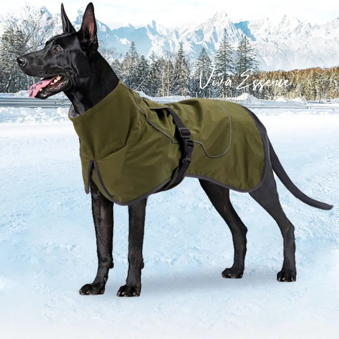 All-Weather Reflective Dog Coat