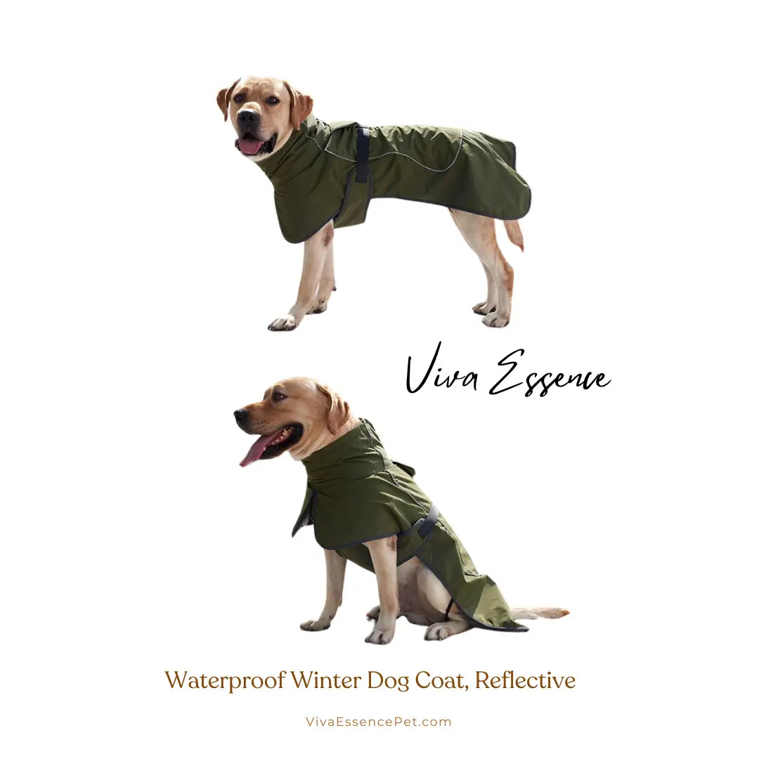 All-Weather Reflective Dog Coat