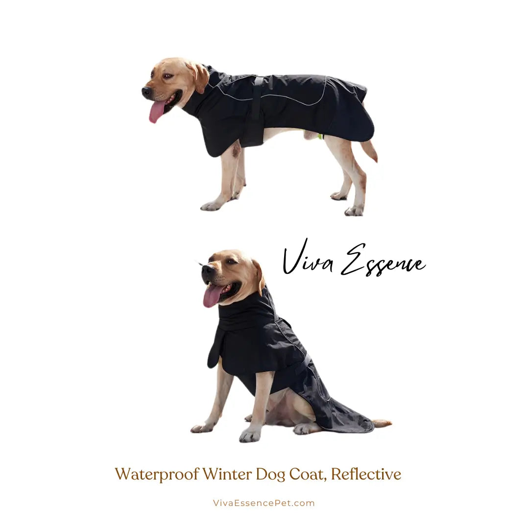 All-Weather Reflective Dog Coat